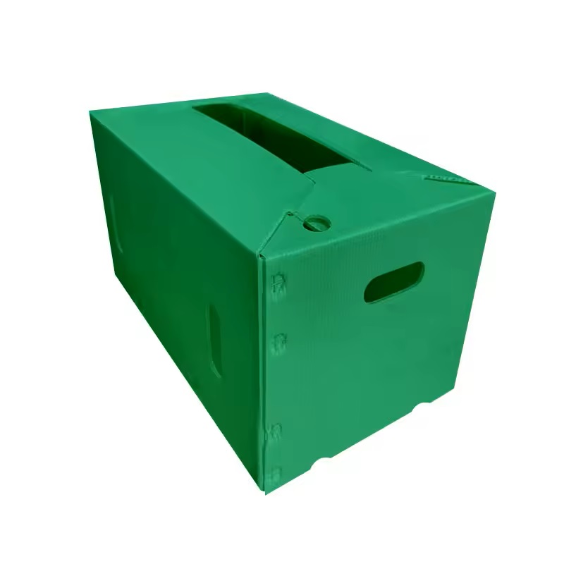 Green Storage Container